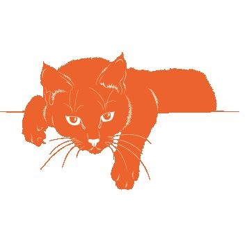 Если все кошки в мире исчезнут Если все кошки в мире исчезнут