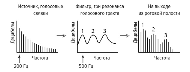 Зачем мы говорим Зачем мы говорим