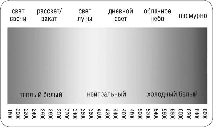 Как победить бессонницу? Здоровый сон за 6 недель Как победить бессонницу? Здоровый сон за 6 недель