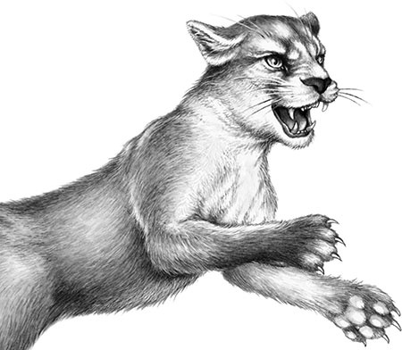 День огня День огня