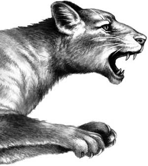 День огня День огня