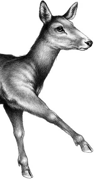 День огня День огня