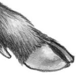 День огня День огня