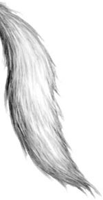 День огня День огня