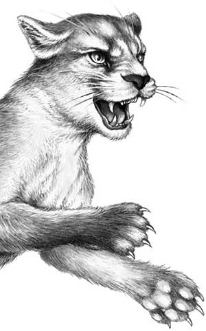 День огня День огня