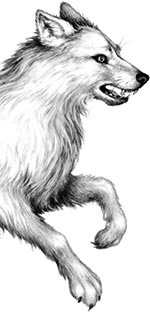 День огня День огня