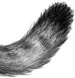 День огня День огня