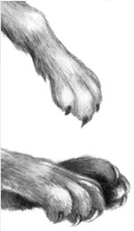 День огня День огня