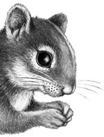 День огня День огня