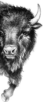 День огня День огня