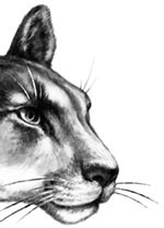 День огня День огня