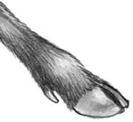 День огня День огня