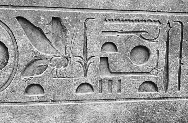 Кровососы Кровососы