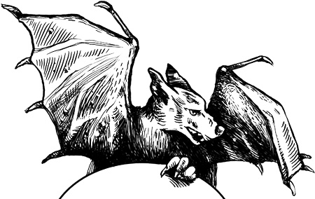 Хроники Черного Отряда. Книги Мертвых: Воды спят. Солдаты живут Хроники Черного Отряда. Книги Мертвых: Воды спят. Солдаты живут
