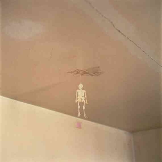 Фотография как современное искусство Фотография как современное искусство