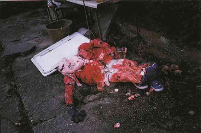 Фотография как современное искусство Фотография как современное искусство