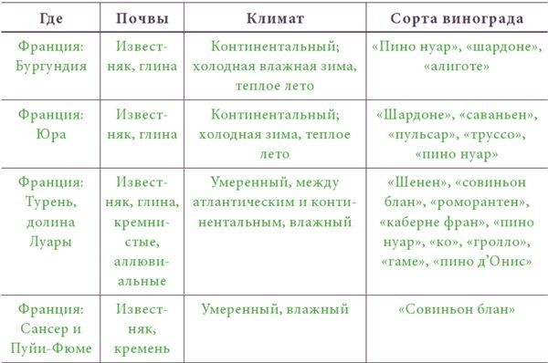 Почва и вино. Путешествие по вкусам и ароматам Почва и вино. Путешествие по вкусам и ароматам