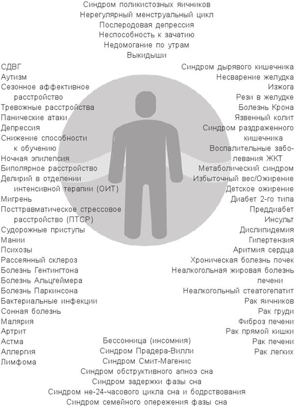 Циркадный код. Как настроить свои биологические часы на здоровую жизнь Циркадный код. Как настроить свои биологические часы на здоровую жизнь