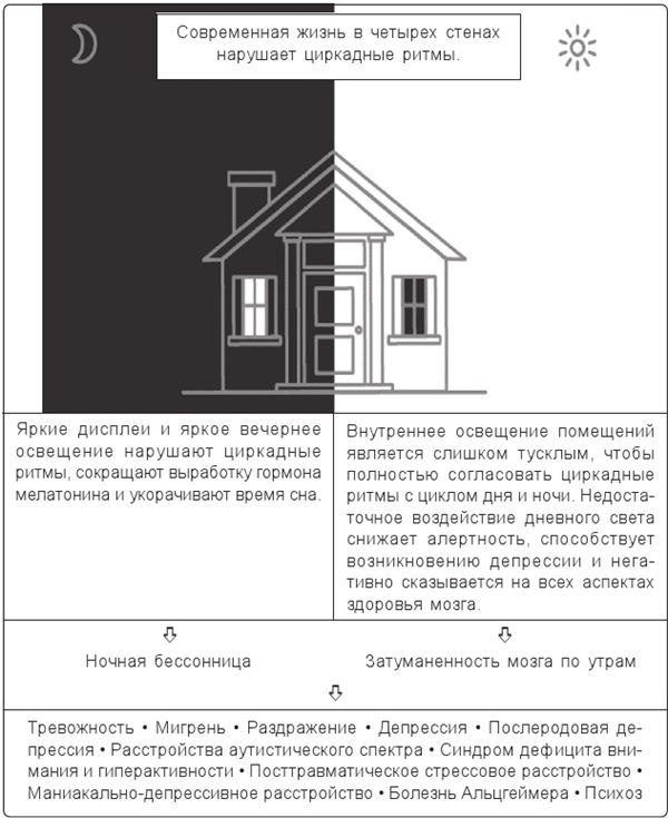Циркадный код. Как настроить свои биологические часы на здоровую жизнь Циркадный код. Как настроить свои биологические часы на здоровую жизнь