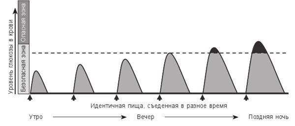 Циркадный код. Как настроить свои биологические часы на здоровую жизнь Циркадный код. Как настроить свои биологические часы на здоровую жизнь