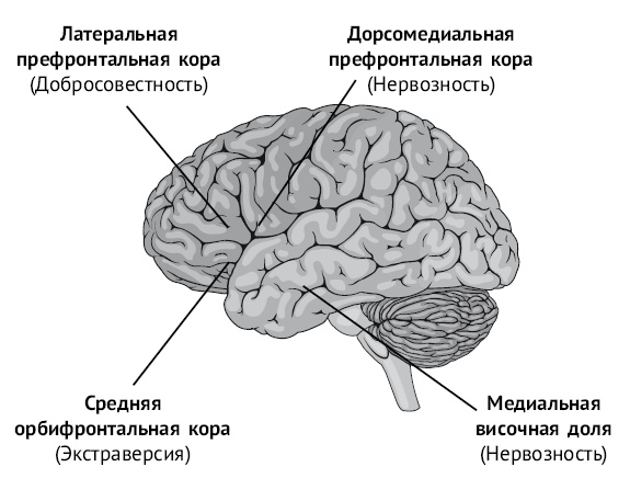 Хочу и могу. Как изменить свою личность за 30 дней Хочу и могу. Как изменить свою личность за 30 дней