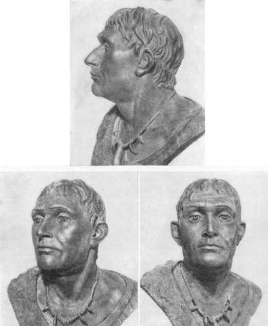 История происхождения русов и славян История происхождения русов и славян