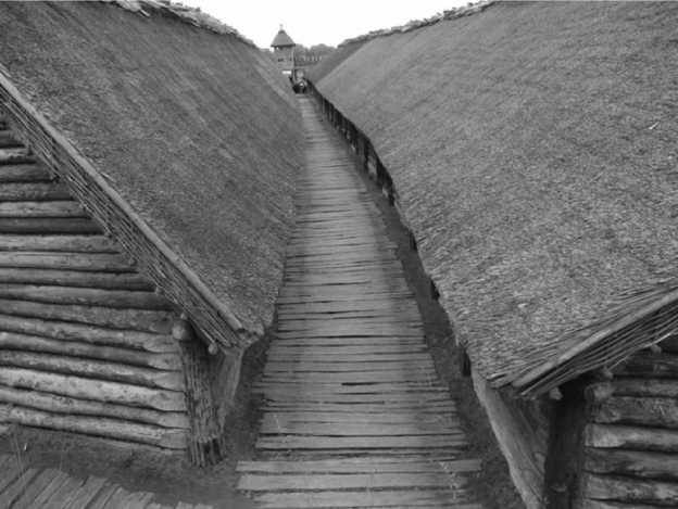 История происхождения русов и славян История происхождения русов и славян