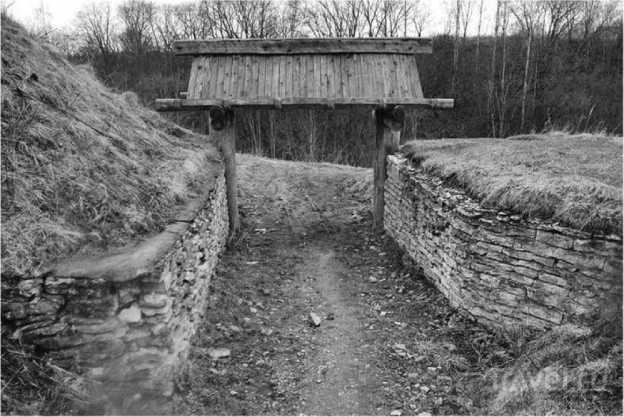 История происхождения русов и славян История происхождения русов и славян