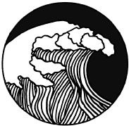 ЭКОsapiens. Простые правила осознанной жизни ЭКОsapiens. Простые правила осознанной жизни