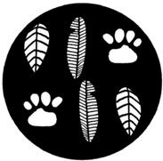 ЭКОsapiens. Простые правила осознанной жизни ЭКОsapiens. Простые правила осознанной жизни