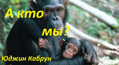 Кабрун Юджин - А кто мы? - Читать книги онлайн | Слушать аудиокниги онлайн | Электронная библиотека books-lib.com