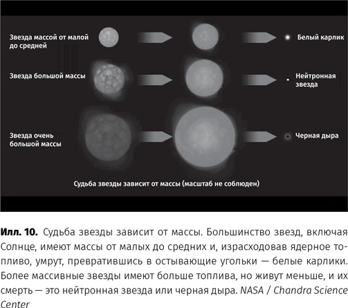 Чудовища доктора Эйнштейна Чудовища доктора Эйнштейна
