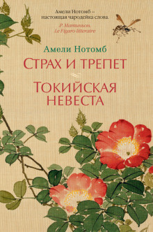 Нотомб Амели - Страх и трепет - Читать книги онлайн | Слушать аудиокниги онлайн | Электронная библиотека books-lib.com