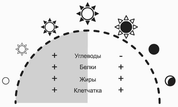 Здоровье без фанатизма: 36 часов в сутках Здоровье без фанатизма: 36 часов в сутках