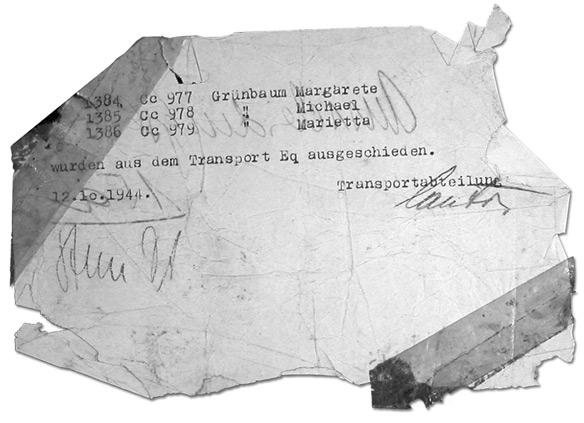 Где-то в мире есть солнце. Свидетельство о Холокосте Где-то в мире есть солнце. Свидетельство о Холокосте