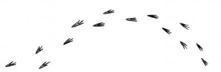 Мальчик, который выращивал драконов Мальчик, который выращивал драконов