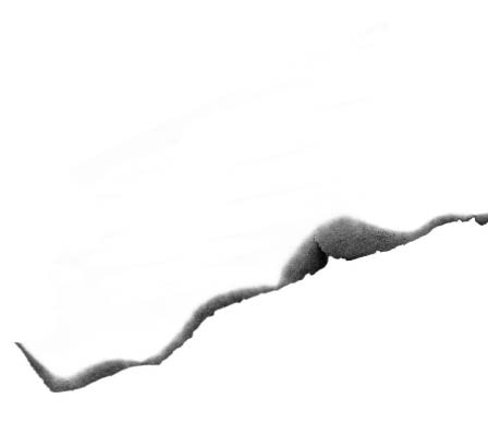 Мальчик, который выращивал драконов Мальчик, который выращивал драконов