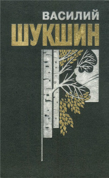 Шукшин Василий - Бессовестные - Читать книги онлайн | Слушать аудиокниги онлайн | Электронная библиотека books-lib.com