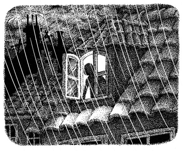 Правда о Салли Джонс Правда о Салли Джонс