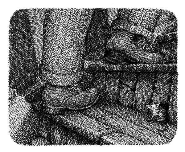 Правда о Салли Джонс Правда о Салли Джонс