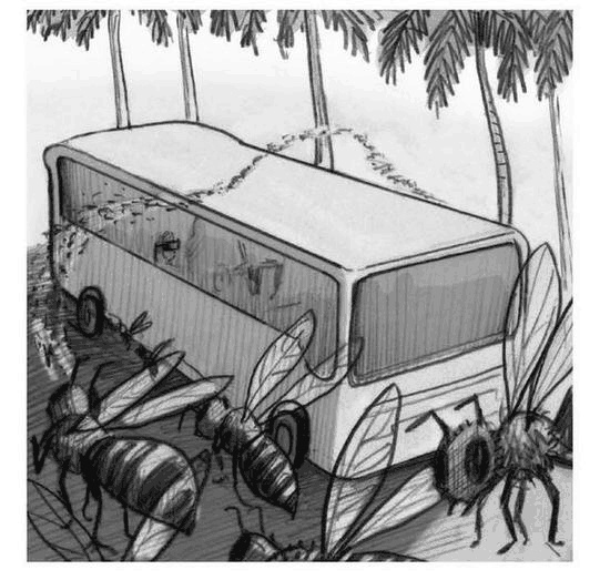 Джордж и корабль времени Джордж и корабль времени