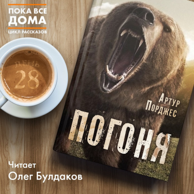 Порджес Артур - Погоня - Читать книги онлайн | Слушать аудиокниги онлайн | Электронная библиотека books-lib.com