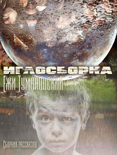 Тумановский Ежи - Иглосборка - Читать книги онлайн | Слушать аудиокниги онлайн | Электронная библиотека books-lib.com