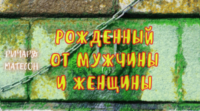 Матесон Ричард - РОЖДЕННЫЙ ОТ МУЖЧИНЫ И ЖЕНЩИНЫ - Читать книги онлайн | Слушать аудиокниги онлайн | Электронная библиотека books-lib.com