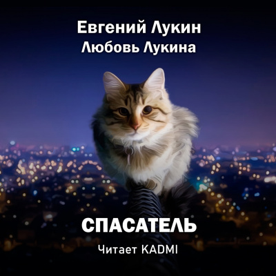 Лукин Евгений, Лукина Любовь - Спасатель - Читать книги онлайн | Слушать аудиокниги онлайн | Электронная библиотека books-lib.com