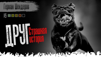 Шендеров Герман - Друг - Читать книги онлайн | Слушать аудиокниги онлайн | Электронная библиотека books-lib.com
