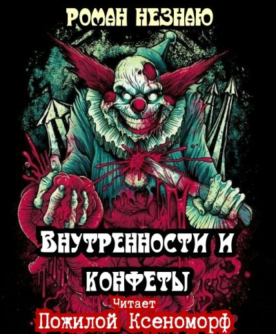 Незнаю Роман - Внутренности и конфеты - Читать книги онлайн | Слушать аудиокниги онлайн | Электронная библиотека books-lib.com
