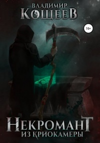 Некромант из криокамеры - Владимир Кощеев - Читать книги онлайн | Слушать аудиокниги онлайн | Электронная библиотека books-lib.com