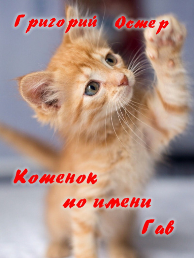 Остер Григорий - Котенок по имени Гав - Читать книги онлайн | Слушать аудиокниги онлайн | Электронная библиотека books-lib.com