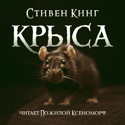 Кинг Стивен - Крыса - Читать книги онлайн | Слушать аудиокниги онлайн | Электронная библиотека books-lib.com